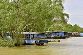 De nombreux bateaux stationnent sur les berges des îlots - Ben Tre - Viêtnam
