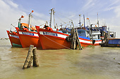 De nombreux bateaux stationnent sur les berges des îlots - Ben Tre - Viêtnam