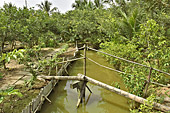 Petit pont sur des rondins enjambant un cour d'eau pour rejoindre le "Mékong Taste" sur l'îlot de la Licorne où nous avons accosté - Ben Tre - Viêtnam