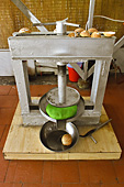 Pressage de la noix de coco dans l'atelier de la fabrication des bonbons Thanh Long - My Tho - Viêtnam