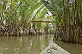 Navigation sur l'arroyos "Sông Ba Lai" - My Tho - Viêtnam