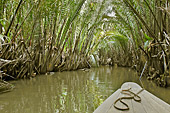 Navigation sur l'arroyos "Sông Ba Lai" - My Tho - Viêtnam
