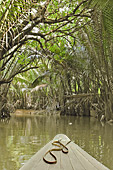 Navigation sur l'arroyos "Sông Ba Lai" - My Tho - Viêtnam