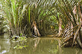 Navigation sur l'arroyos "Sông Ba Lai" - My Tho - Viêtnam