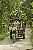 Croisement avec un tuk-tuk chargé de noix de coco - My Tho - Viêtnam