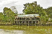 Navigation sur la Ba Lang River dans le delta du Mékong - Can Tho - Viêtnam