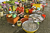 Poissonnerie à l'extérieur du marché Binh Tây - Hô Chi Minh-Ville - Viêtnam