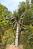 Petit pont dans la jungle de cocotiers et des arroyos - My Tho - Viêtnam
